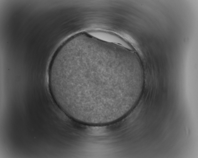 X0000089691280200707201713