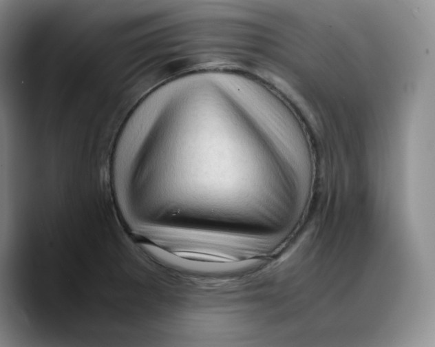 X0000089691281200707201713