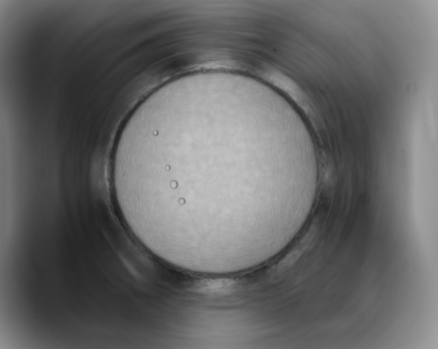X0000089691282200707201713