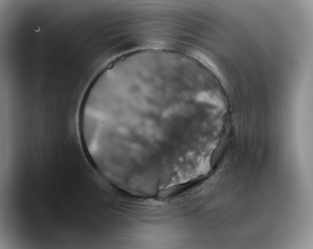 X0000089691283200707201713