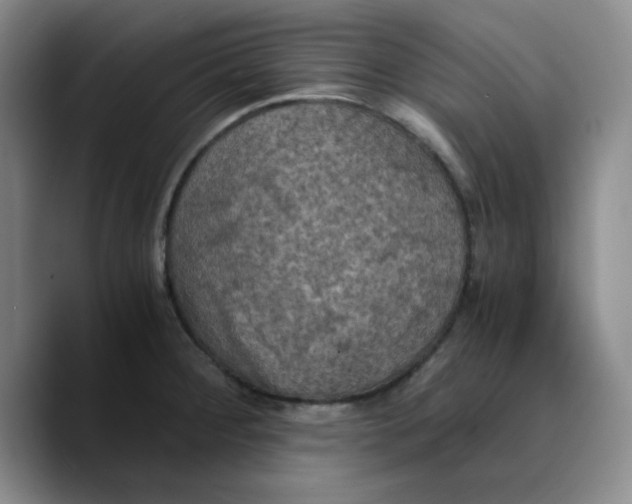X0000089691284200707201713