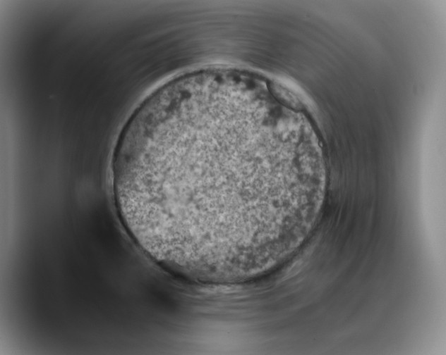 X0000089691287200707201712