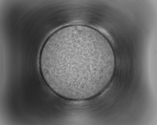 X0000089691288200707201712