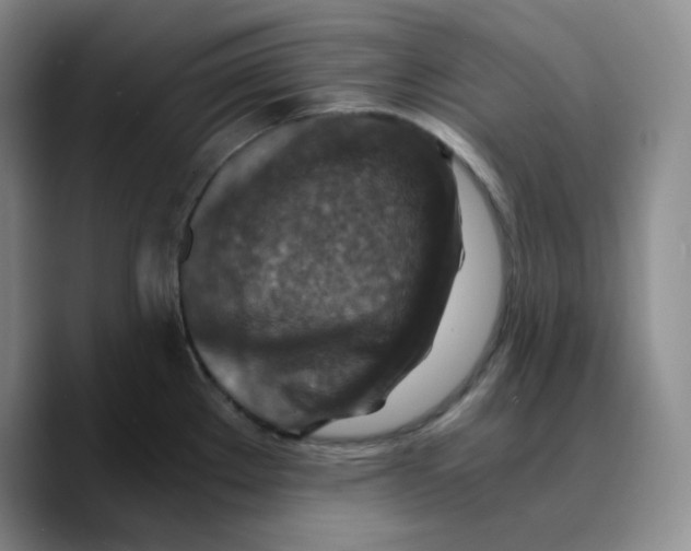 X0000089691289200707201712