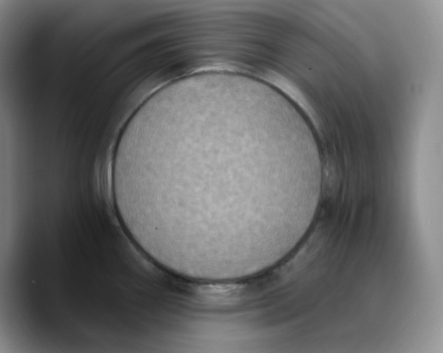 X0000089691290200707201712