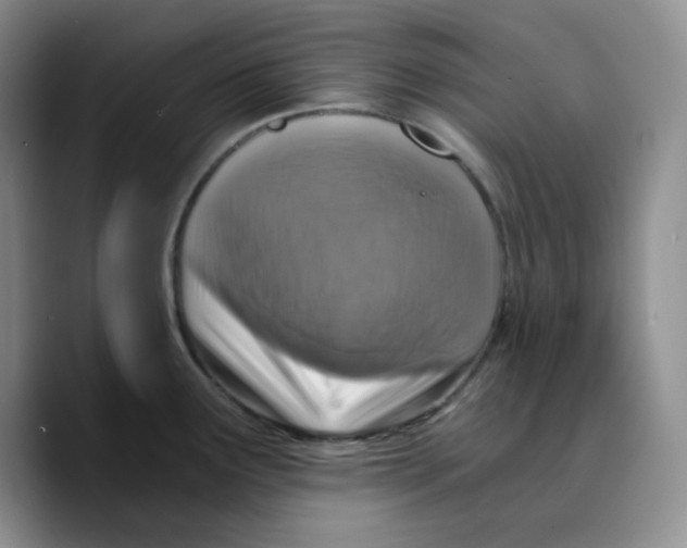 X0000089691291200707201712