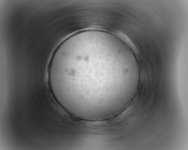 X0000089691292200707201712