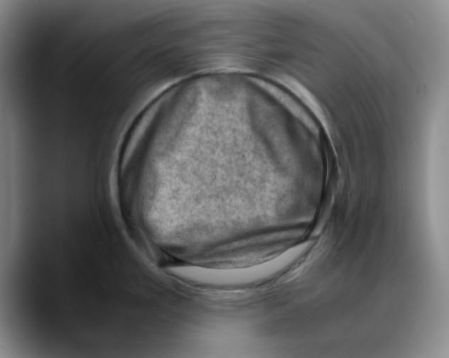 X0000089691293200707201712