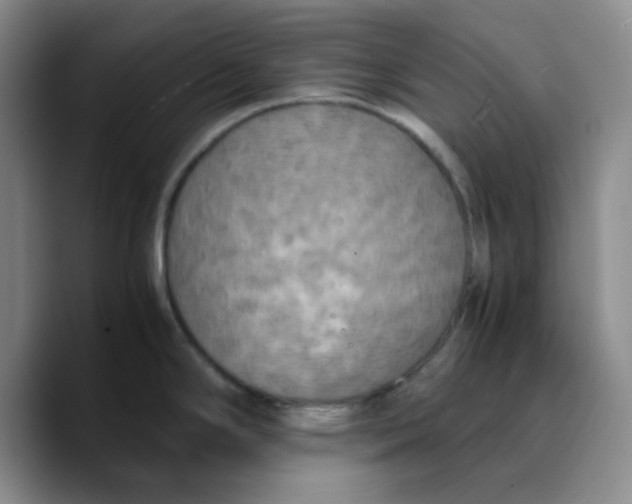 X0000089691294200707201712