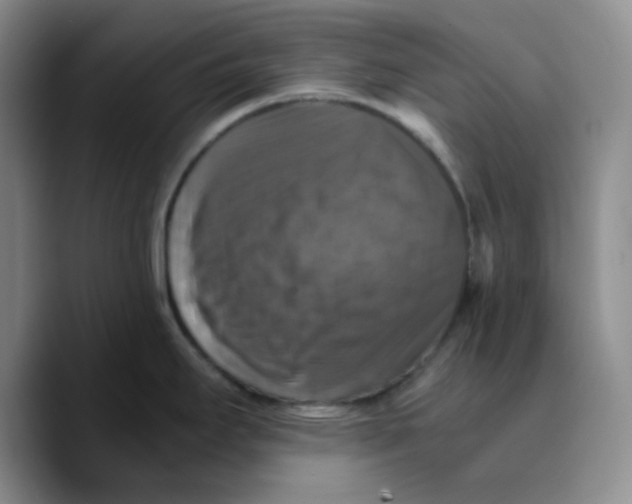 X0000089691295200707201712