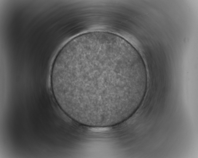 X0000089691296200707201712