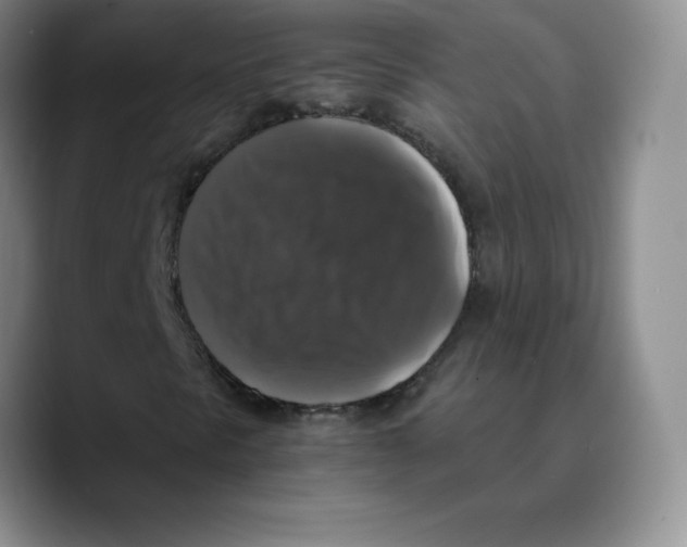 X0000089691297200707201712