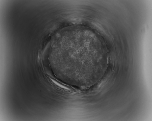 X0000089691298200707201712