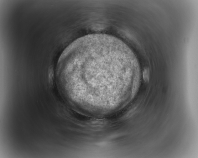 X0000089691299200707201712