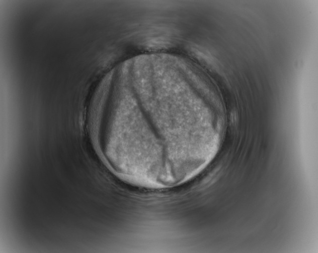 X0000089691300200707201712