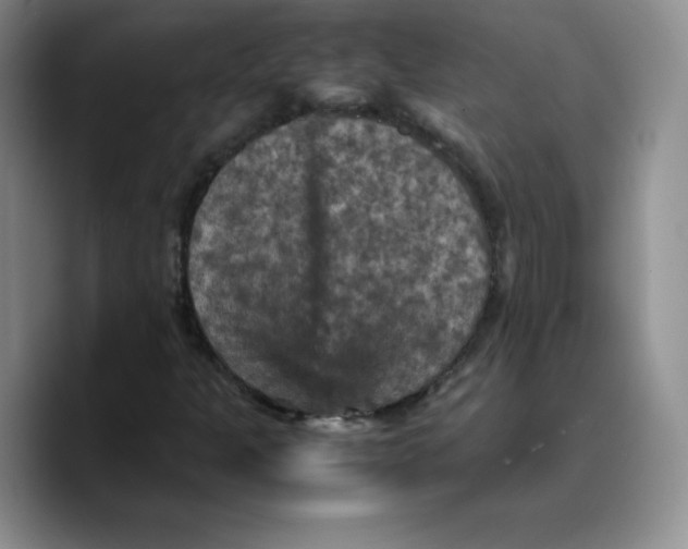 X0000089691301200707201712