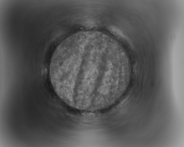 X0000089691302200707201712