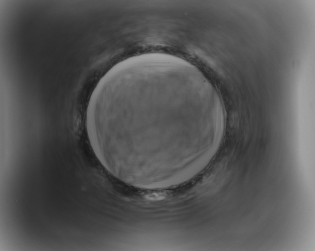 X0000089691303200707201712