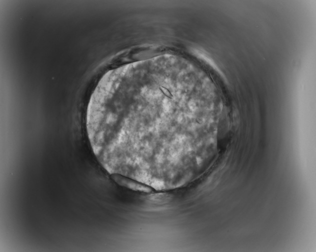 X0000089691304200707201712