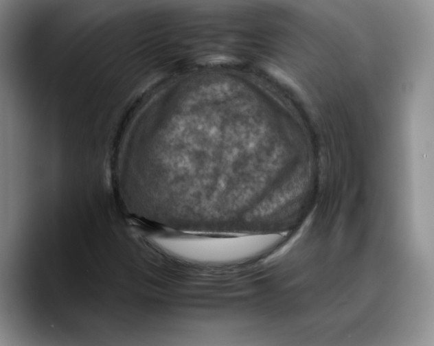 X0000089691305200707201712