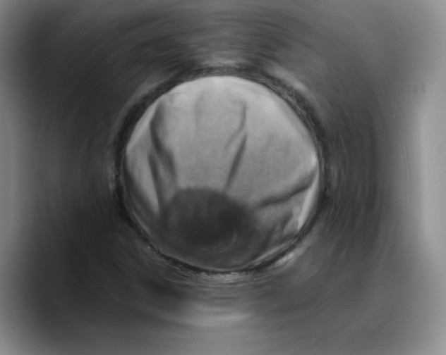 X0000089691306200707201712