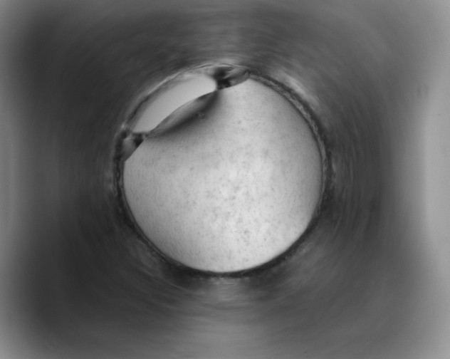 X0000089691308200707201712