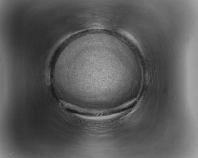 X0000089691310200707201712