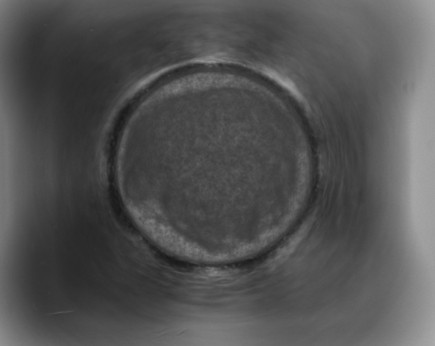 X0000089691311200707201712