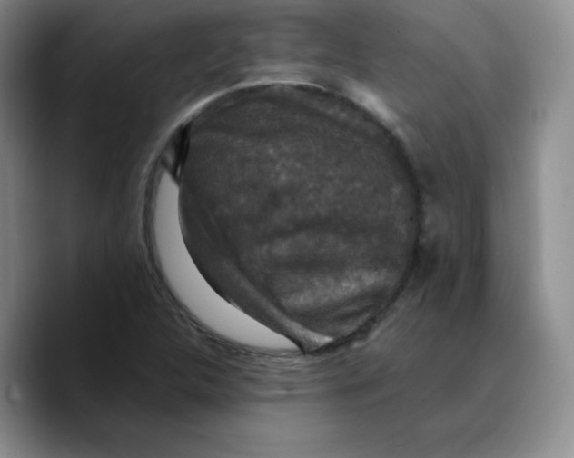 X0000089691312200707201712