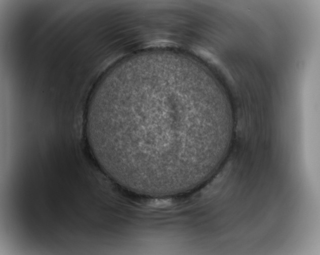 X0000089691313200707201712