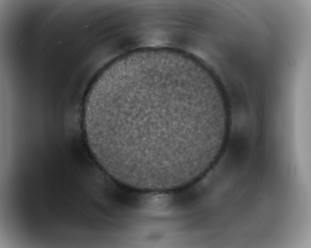 X0000089691314200707201712