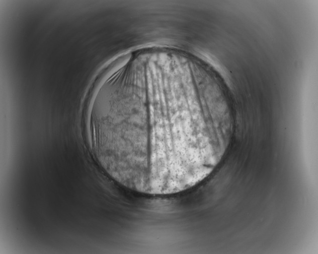 X0000089691316200707201712