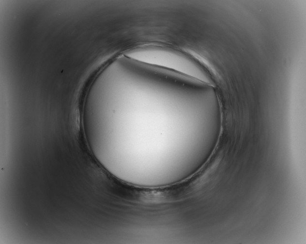 X0000089691317200707201712