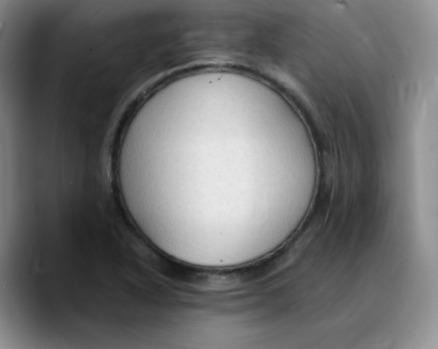 X0000089691318200707201712