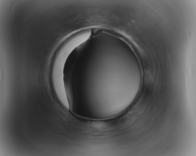 X0000089691319200707201712