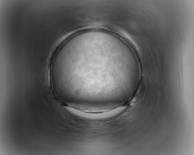 X0000089691320200707201712