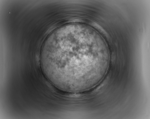 X0000089691321200707201712