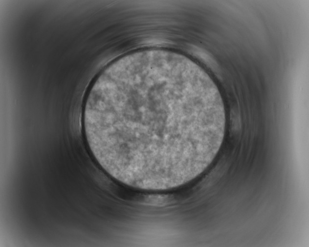 X0000089691322200707201712