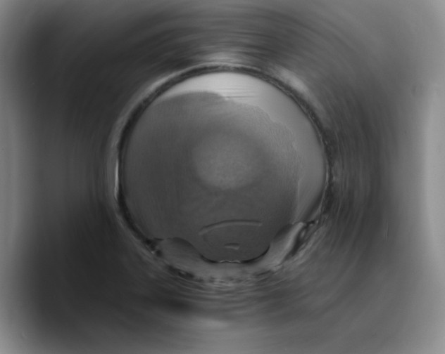 X0000089691323200707201712