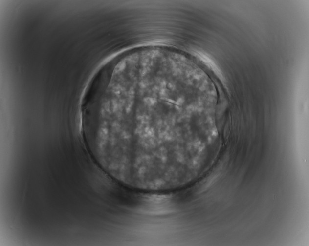 X0000089691324200707201712