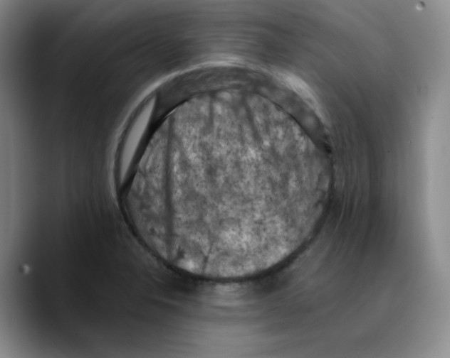 X0000089691326200707201712