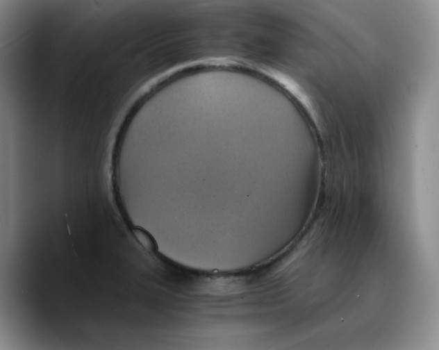 X0000089691327200707201712