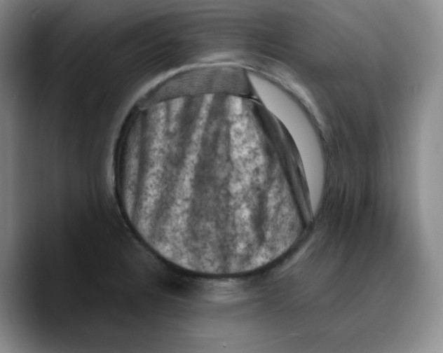 X0000089691328200707201712