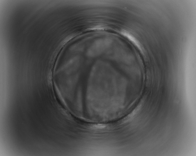 X0000089691329200707201712