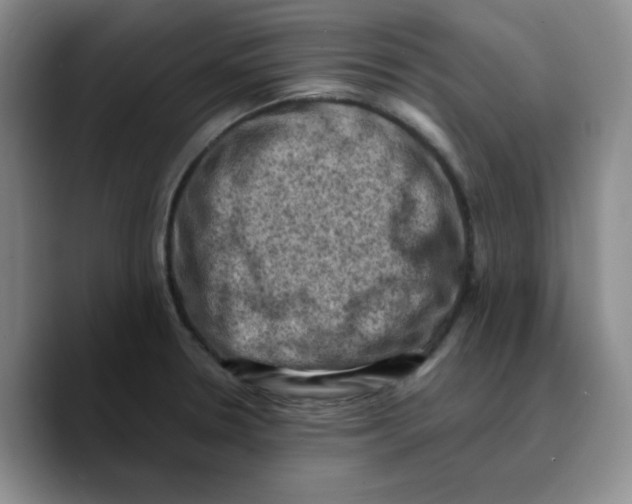 X0000089691330200707201712