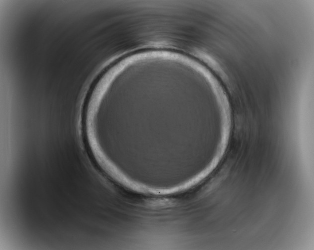 X0000089691331200707201712