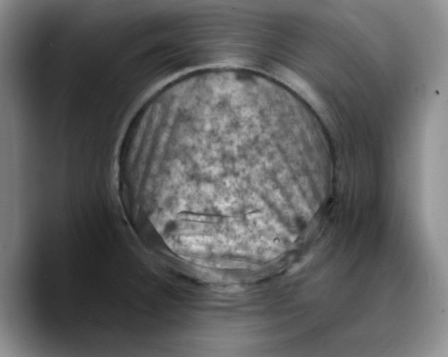 X0000089691332200707201712