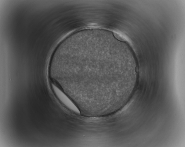 X0000089691333200707201712