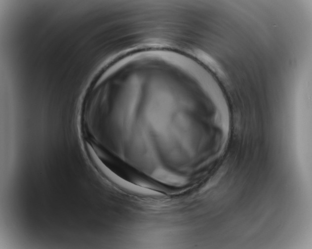 X0000089691334200707201712