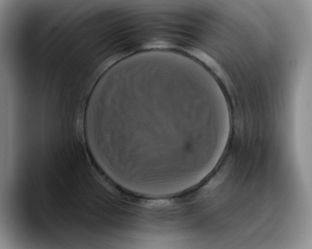 X0000089691337200707201712